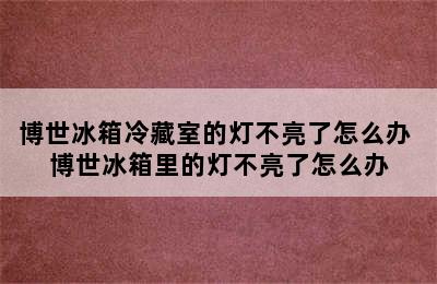 博世冰箱冷藏室的灯不亮了怎么办 博世冰箱里的灯不亮了怎么办